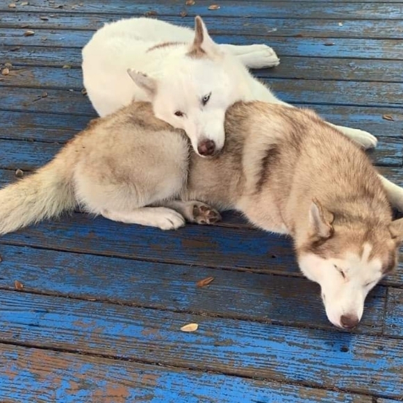 ❤ My Baby Girls ❤ - Picture 1 of 12